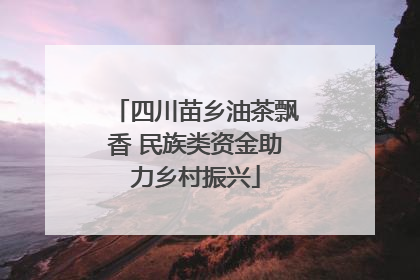 四川苗乡油茶飘香 民族类资金助力乡村振兴