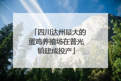 四川达州最大的蛋鸡养殖场在普光镇建成投产