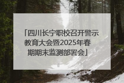 四川长宁职校召开警示教育大会暨2025年春期期末监测部署会