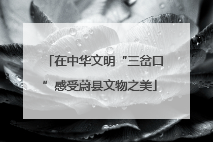 在中华文明“三岔口”感受蔚县文物之美