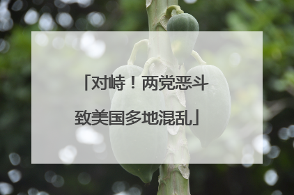 对峙！两党恶斗致美国多地混乱