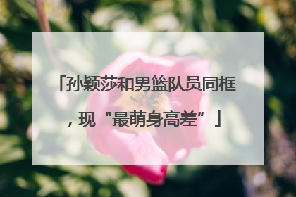 孙颖莎和男篮队员同框，现“最萌身高差”