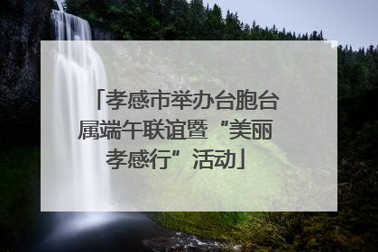 孝感市举办台胞台属端午联谊暨“美丽孝感行”活动