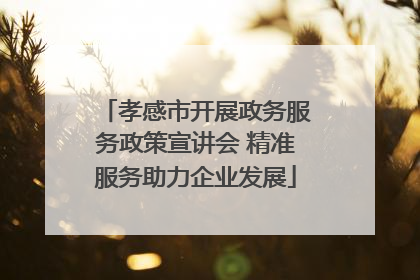 孝感市开展政务服务政策宣讲会 精准服务助力企业发展
