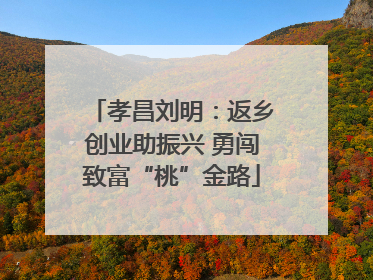 孝昌刘明：返乡创业助振兴 勇闯致富“桃”金路