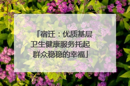 宿迁：优质基层卫生健康服务托起群众稳稳的幸福