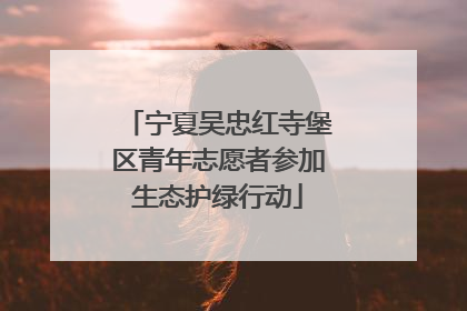 宁夏吴忠红寺堡区青年志愿者参加生态护绿行动