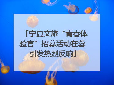 宁夏文旅“青春体验官”招募活动在蓉引发热烈反响