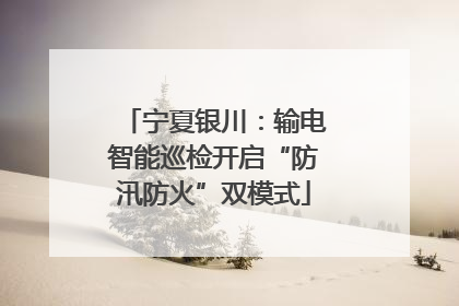宁夏银川：输电智能巡检开启“防汛防火”双模式