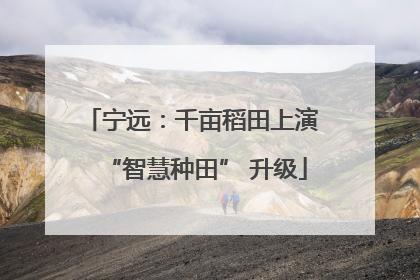 宁远：千亩稻田上演 “智慧种田” 升级