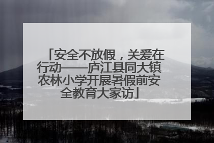 安全不放假，关爱在行动——庐江县同大镇农林小学开展暑假前安全教育大家访