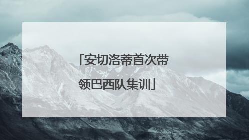 安切洛蒂首次带领巴西队集训