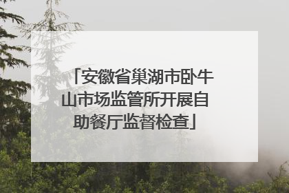 安徽省巢湖市卧牛山市场监管所开展自助餐厅监督检查