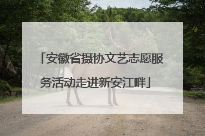 安徽省摄协文艺志愿服务活动走进新安江畔
