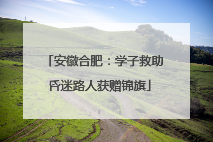 安徽合肥：学子救助昏迷路人获赠锦旗
