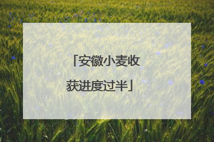 安徽小麦收获进度过半