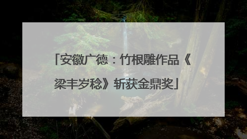 安徽广德：竹根雕作品《梁丰岁稔》斩获金鼎奖