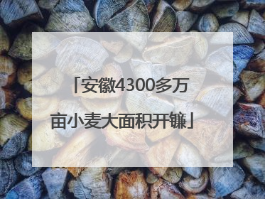 安徽4300多万亩小麦大面积开镰
