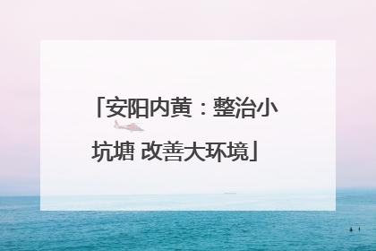安阳内黄：整治小坑塘 改善大环境