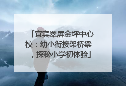 宜宾翠屏金坪中心校：幼小衔接架桥梁，探秘小学初体验