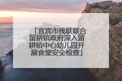 宜宾市残联联合留耕镇政府深入留耕镇中心幼儿园开展食堂安全检查