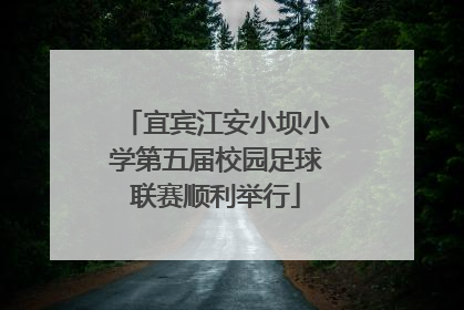 宜宾江安小坝小学第五届校园足球联赛顺利举行