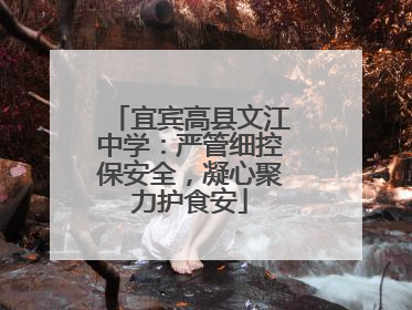 宜宾高县文江中学：严管细控保安全，凝心聚力护食安