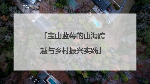 宝山蓝莓的山海跨越与乡村振兴实践