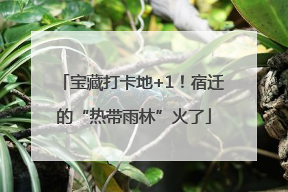 宝藏打卡地+1！宿迁的“热带雨林”火了