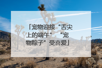 宠物迎接“舌尖上的端午” “宠物粽子”受喜爱