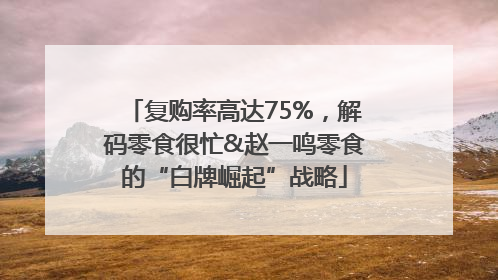 复购率高达75%，解码零食很忙&赵一鸣零食的“白牌崛起”战略