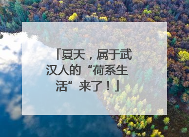 夏天，属于武汉人的“荷系生活”来了！