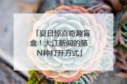 夏日惊喜奇趣盲盒！大江新闻的第N种打开方式