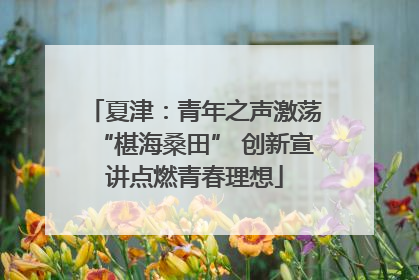 夏津：青年之声激荡“椹海桑田” 创新宣讲点燃青春理想