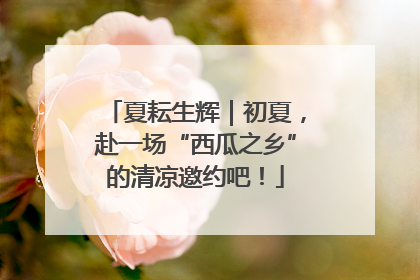 夏耘生辉｜初夏，赴一场“西瓜之乡”的清凉邀约吧！