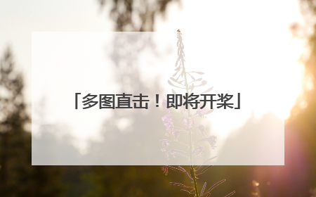 多图直击！即将开桨