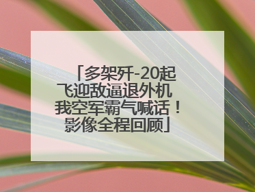 多架歼-20起飞迎敌逼退外机 我空军霸气喊话！影像全程回顾