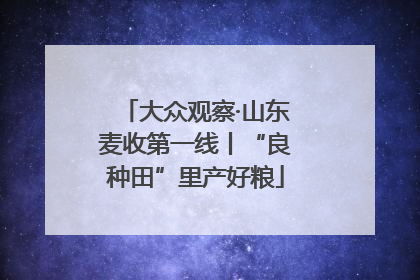 大众观察·山东麦收第一线丨“良种田”里产好粮