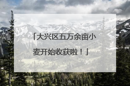 大兴区五万余亩小麦开始收获啦！