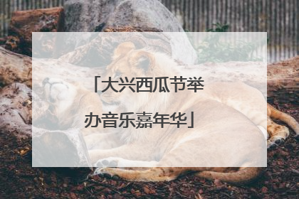 大兴西瓜节举办音乐嘉年华