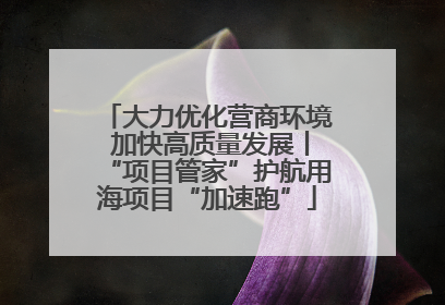 大力优化营商环境 加快高质量发展丨“项目管家”护航用海项目“加速跑”