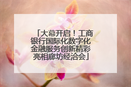 大幕开启！工商银行国际化数字化金融服务创新精彩亮相廊坊经洽会