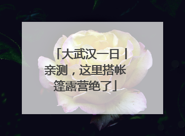 大武汉一日丨亲测，这里搭帐篷露营绝了