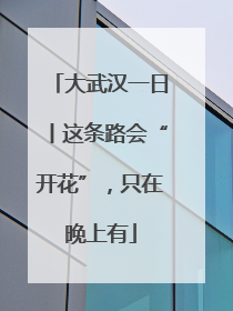 大武汉一日丨这条路会“开花”，只在晚上有