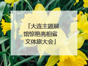 大连主题展馆惊艳亮相省文体旅大会