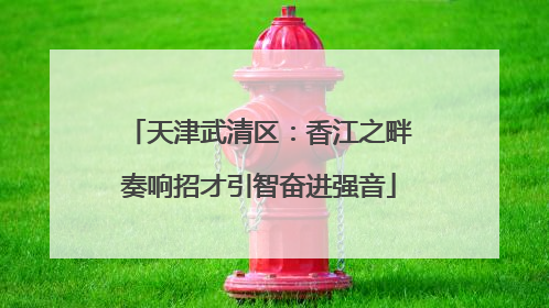天津武清区：香江之畔奏响招才引智奋进强音
