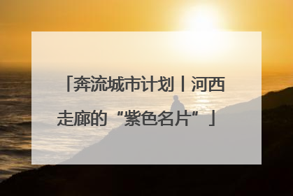 奔流城市计划丨河西走廊的“紫色名片”