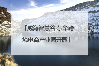 威海智慧谷·东华跨境电商产业园开园