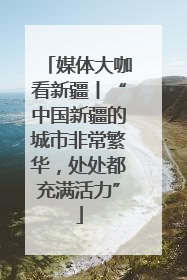 媒体大咖看新疆丨“中国新疆的城市非常繁华，处处都充满活力”