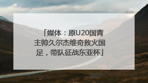 媒体：原U20国青主帅久尔杰维奇救火国足，带队征战东亚杯